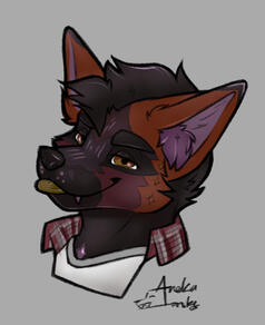CedartheCrossFox