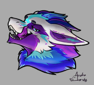 CosmicRaptor