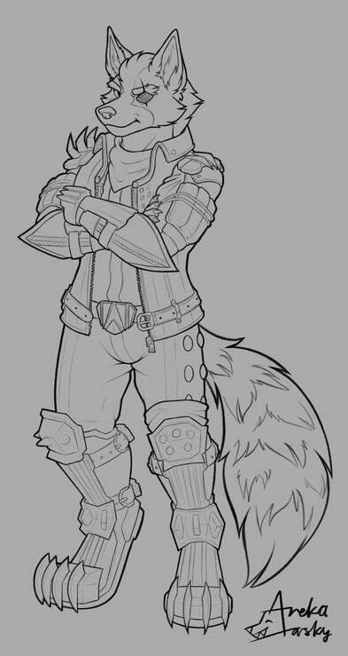 Wolf O'Donnell Wolf O'Donnell